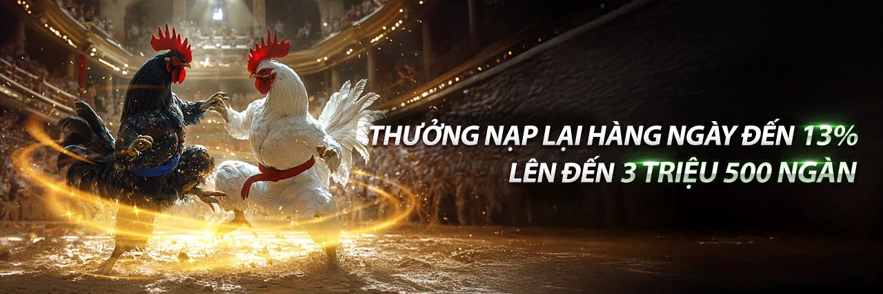 Đá gà for88 trực tiếp