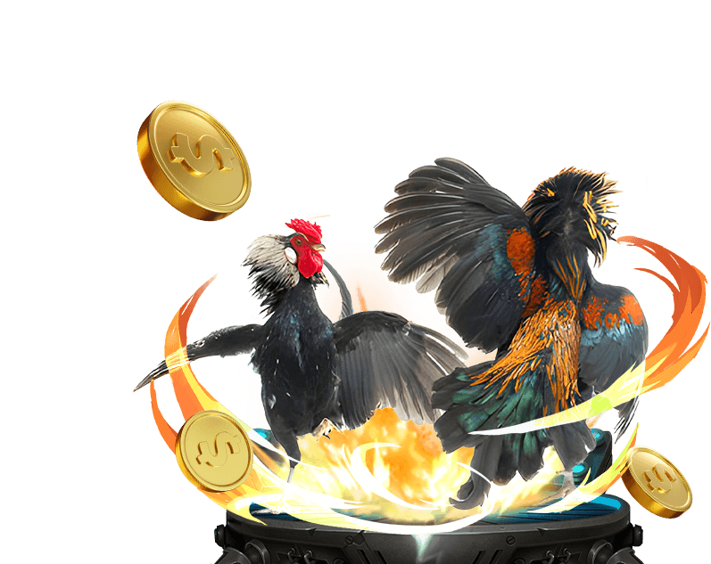 Đá gà cựa sắt For88 với những chiến kê có sức bền và kỹ thuật tốt