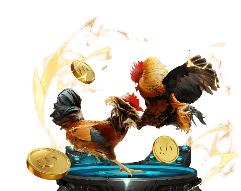 Đá gà cựa dao For88 với những cú đá uy lực và nhanh gọn